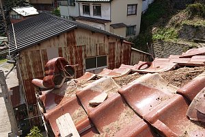 瓦を一旦撤去