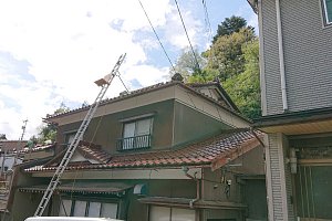 瓦荷揚げ用梯子
