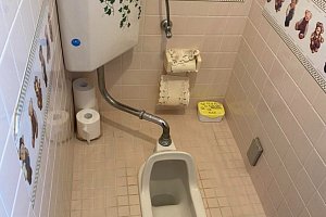 タイル張り和便