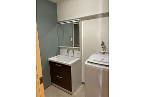 洗面台　収納　洗濯