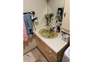 洗面台　ボウル　収納