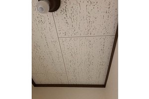 トイレ換気扇