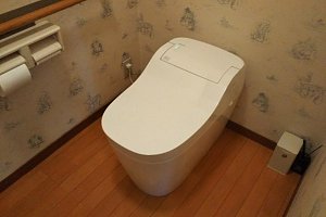 Panasonic　アラウーノS160