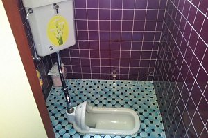 和式　水洗