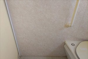 TOTO、フローピア