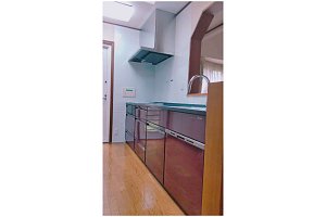 キッチン　キッチンリフォーム　リフォーム　キッチン交換 タカラスタンダード　トレーシア ゆプラスユニット