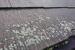 足場　屋根塗装