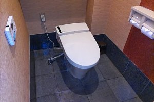 LIXIL　サティス