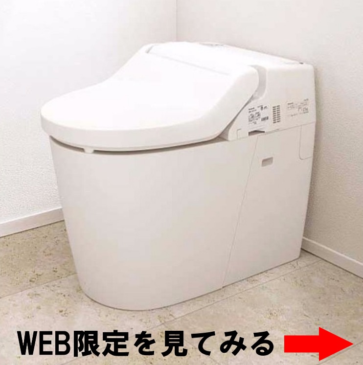 WEB限定トイレ詳細ページ