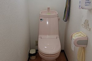 機能性が少ないトイレ