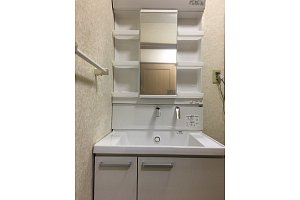 キレイ除菌水なし