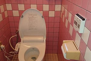 有機ガラス系新素材便器