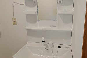 白色が引き立っています