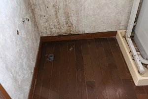 汚れは拭き取れる状態