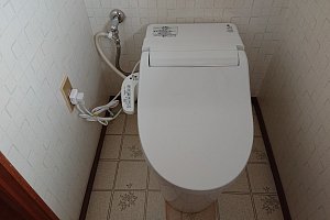 手洗い無し