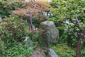 庭木、石など